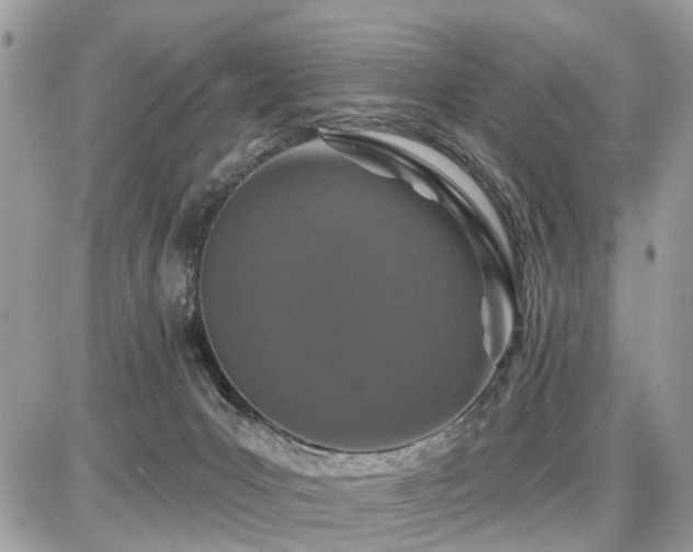 X0000086780031200704131226