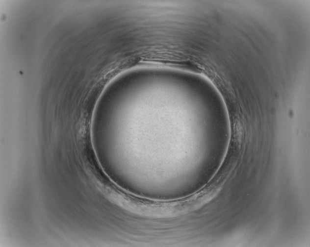 X0000086780032200704131226