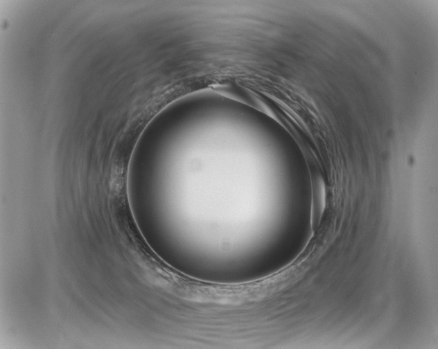 X0000086780033200704131226