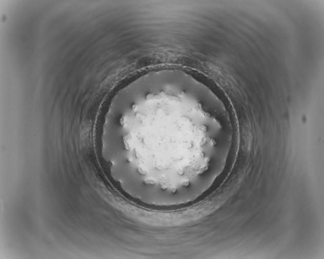 X0000086780034200704131226