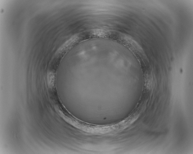 X0000086780036200704131226