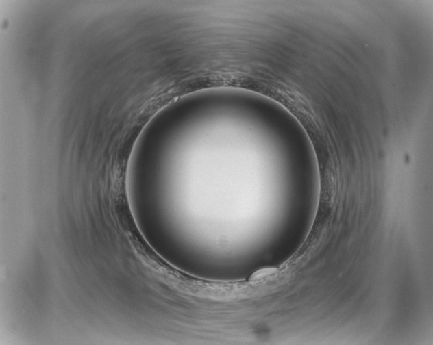 X0000086780037200704131226