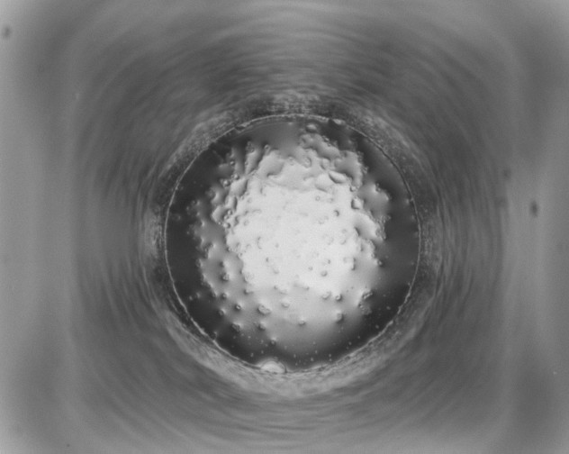 X0000086780038200704131226