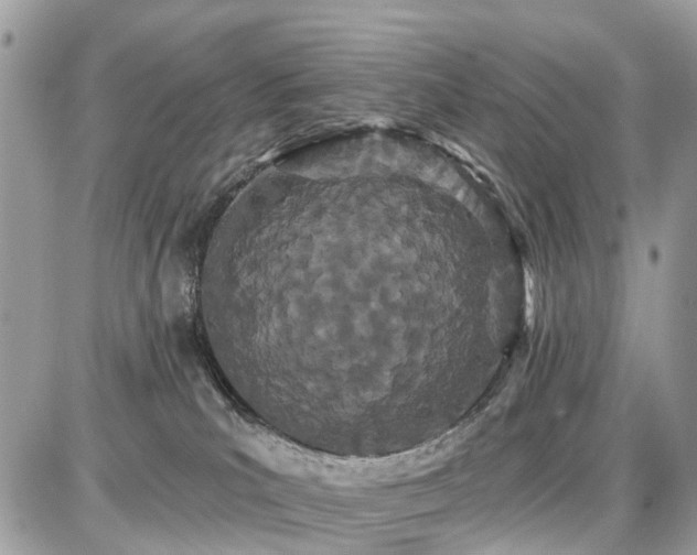 X0000086780039200704131226