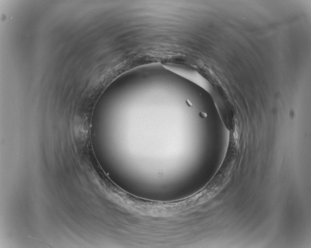 X0000086780040200704131225