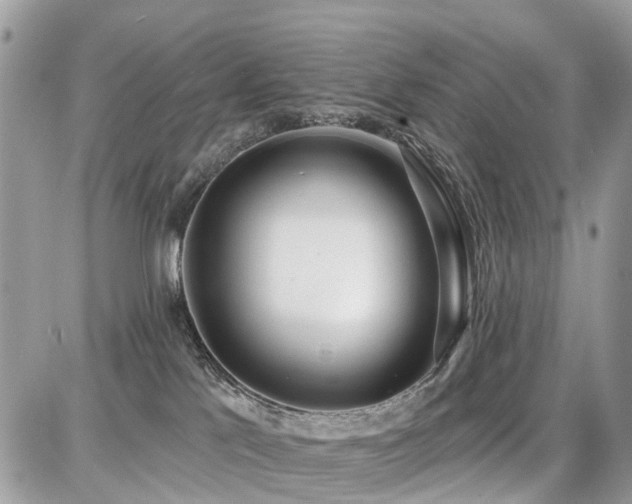 X0000086780041200704131225