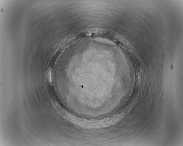 X0000086780042200704131225