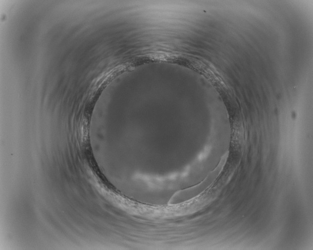 X0000086780043200704131225