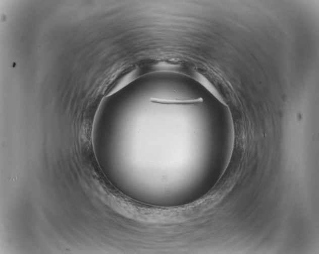 X0000086780044200704131225