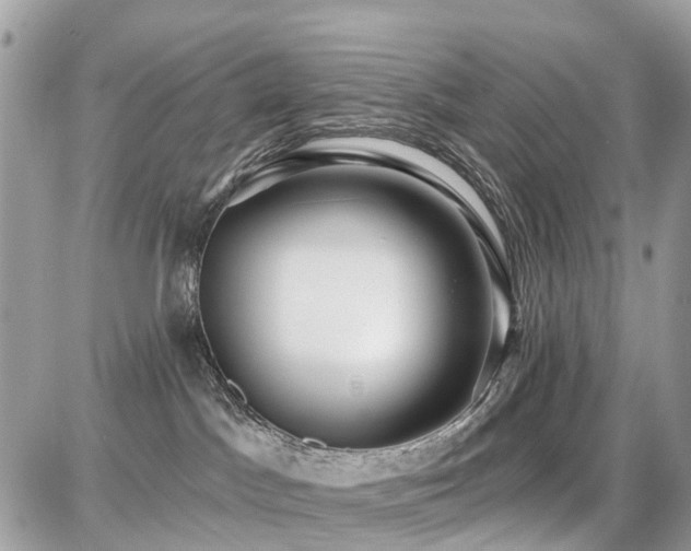 X0000086780045200704131225