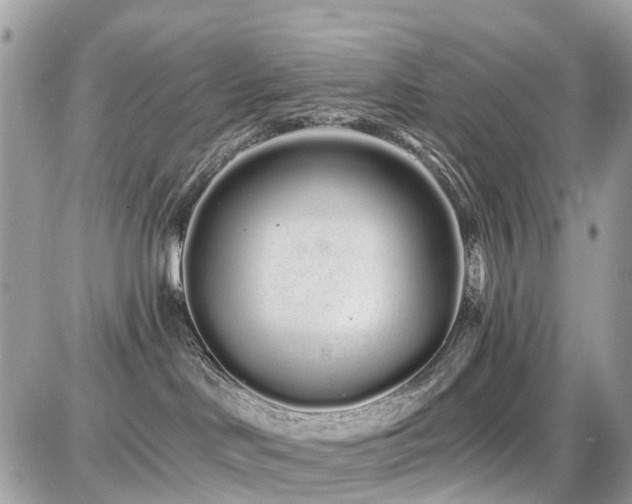 X0000086780046200704131225