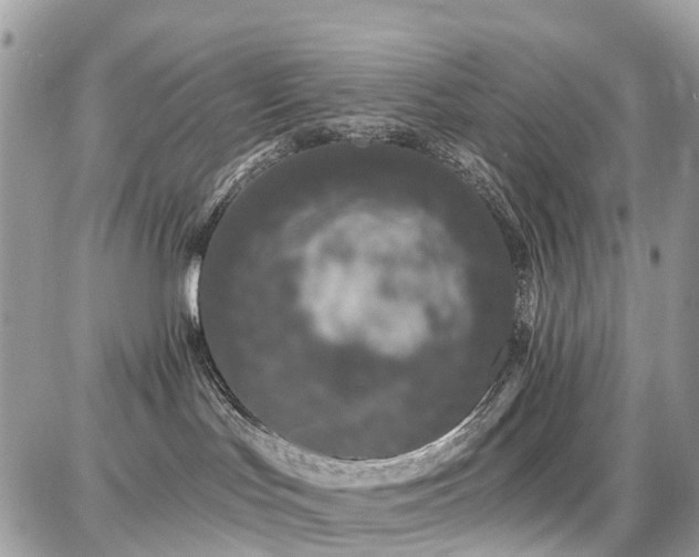 X0000086780047200704131225