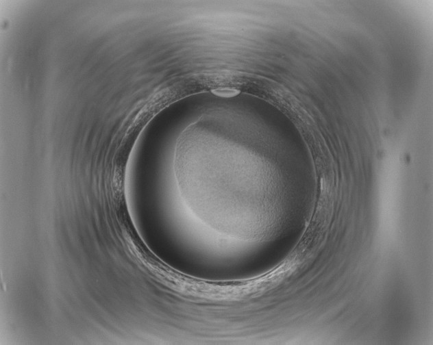 X0000086780048200704131225