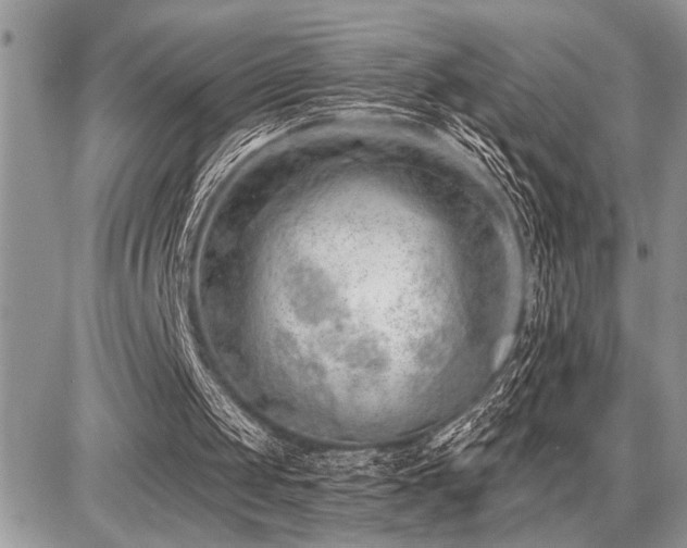 X0000086780049200704131225