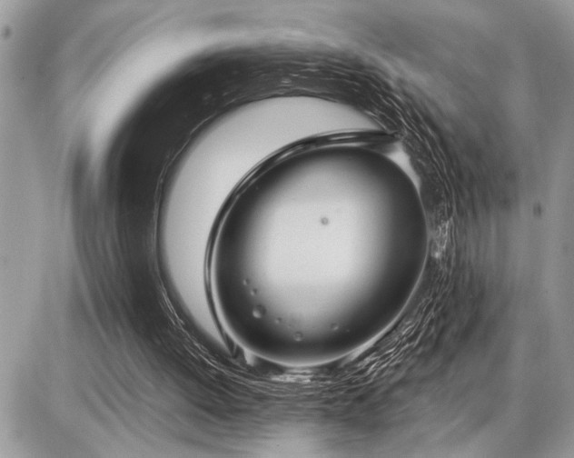 X0000086780052200704131225