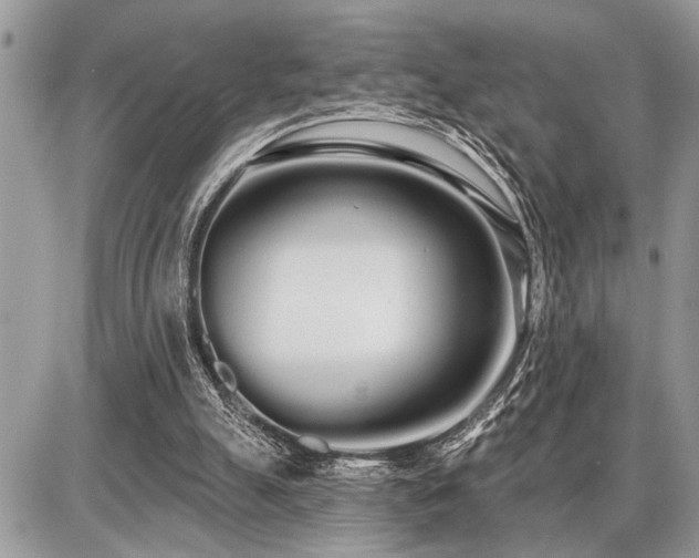 X0000086780055200704131225