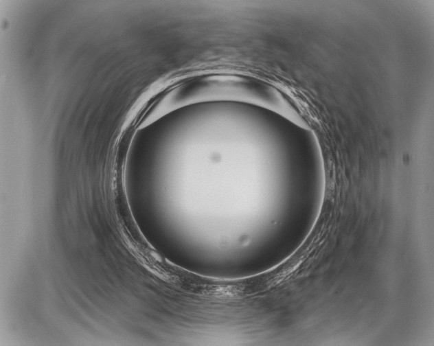 X0000086780056200704131225