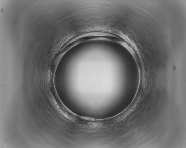 X0000086780057200704131225