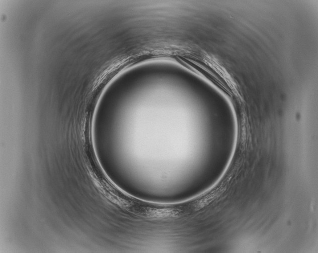 X0000086780058200704131225