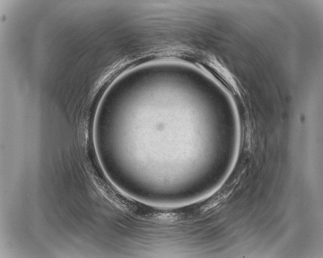 X0000086780059200704131225