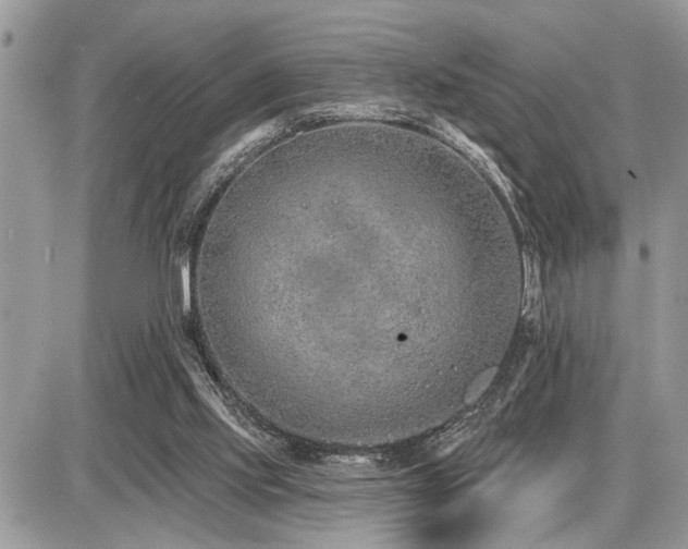 X0000086780061200704131225