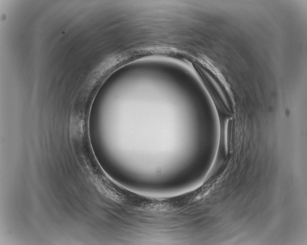 X0000086780063200704131225