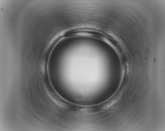 X0000086780064200704131225