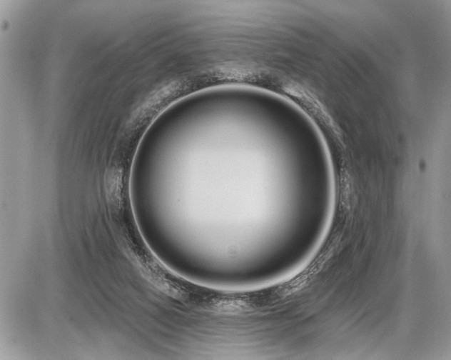 X0000086780066200704131225