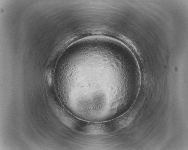 X0000086780069200704131225