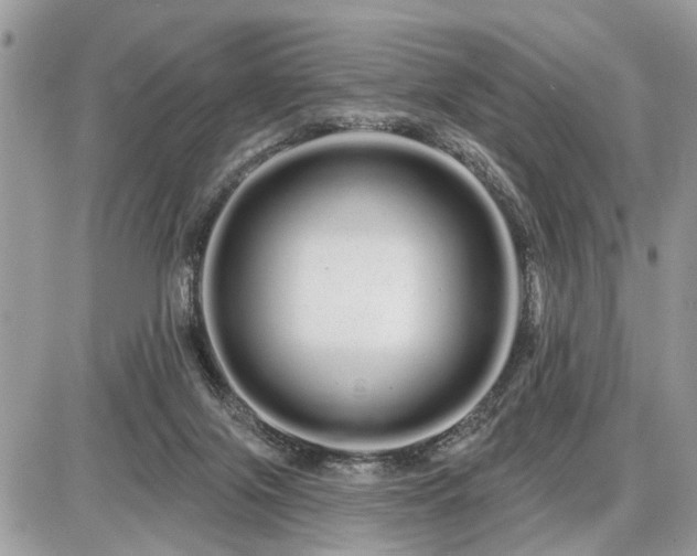 X0000086780071200704131225