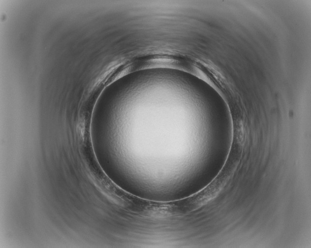 X0000086780072200704131225