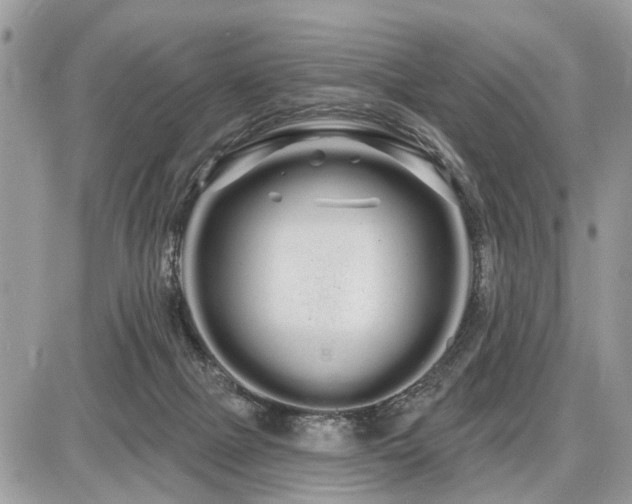 X0000086780073200704131225