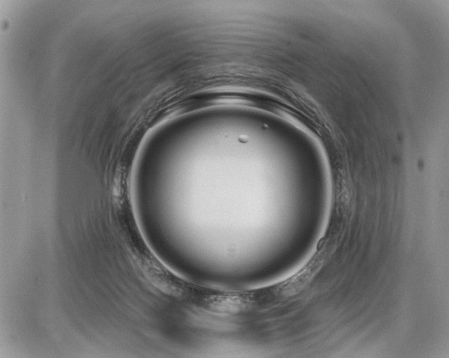 X0000086780074200704131225