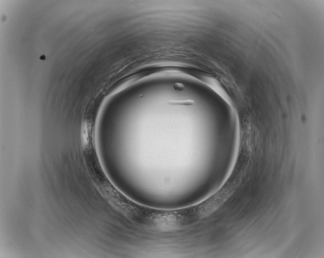 X0000086780075200704131225