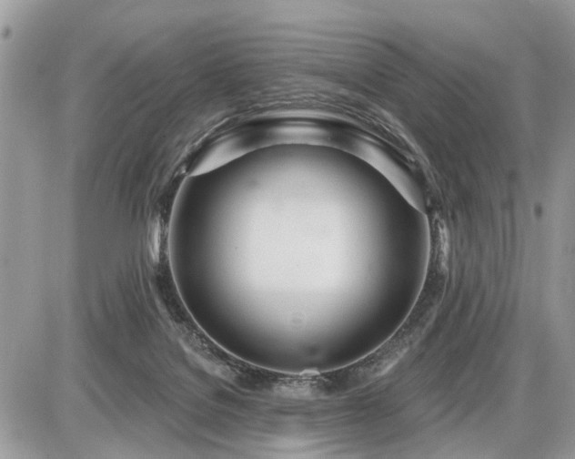 X0000086780076200704131225