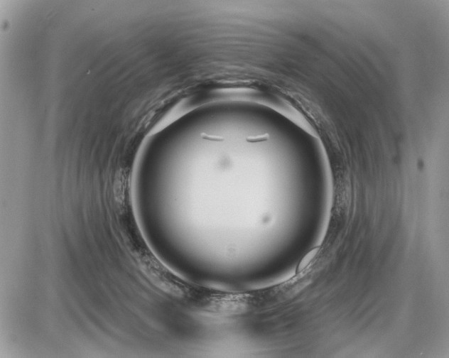 X0000086780078200704131225