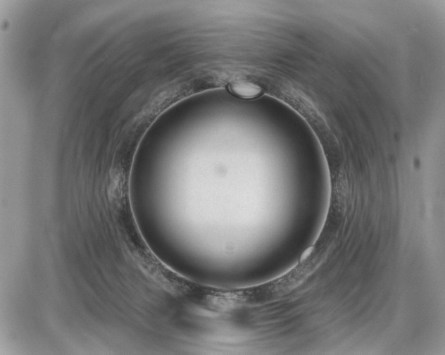 X0000086780079200704131225