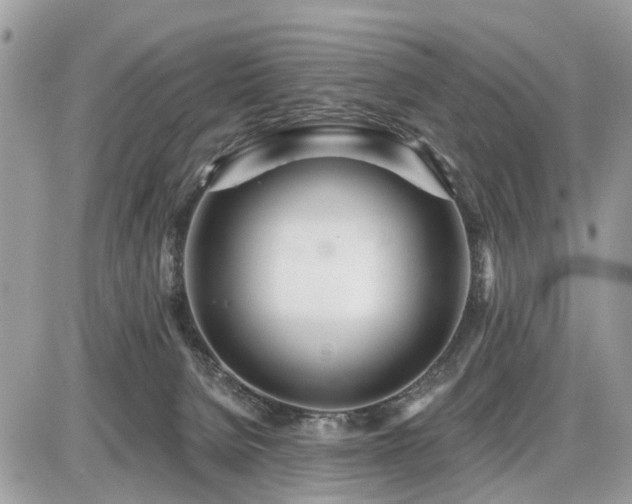 X0000086780080200704131225