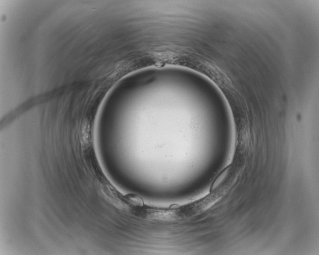 X0000086780081200704131225