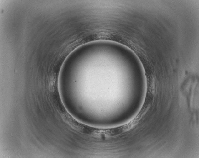 X0000086780082200704131225