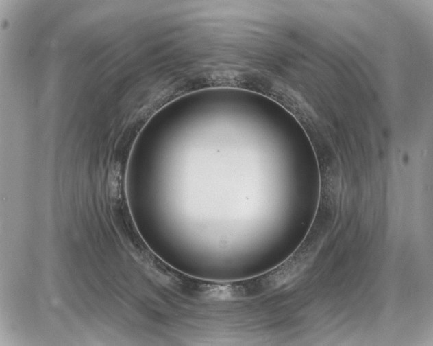 X0000086780083200704131225