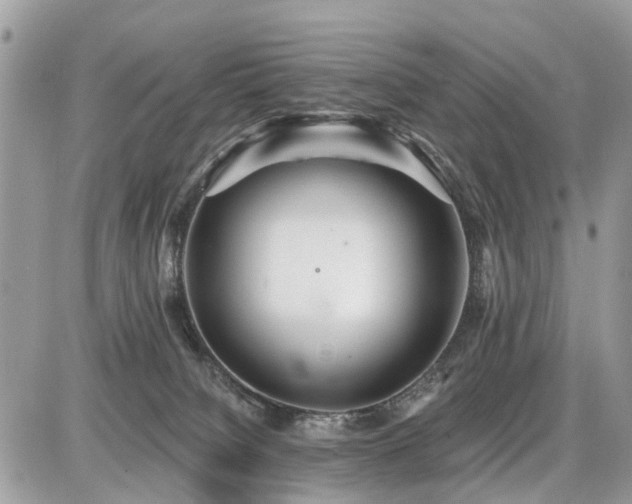 X0000086780084200704131225