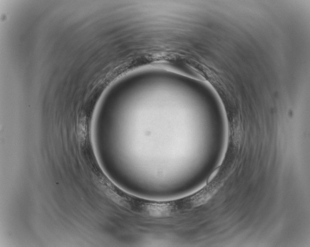 X0000086780085200704131225