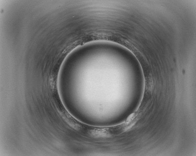 X0000086780086200704131225