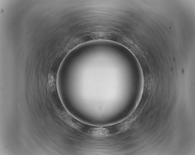 X0000086780087200704131225