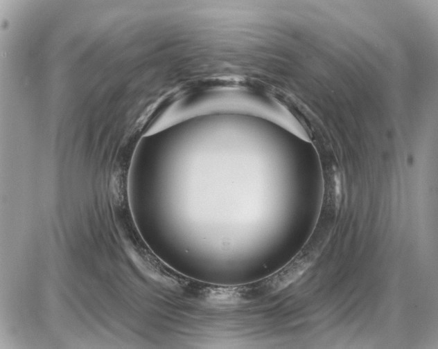 X0000086780088200704131225