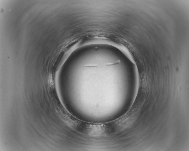 X0000086780089200704131225