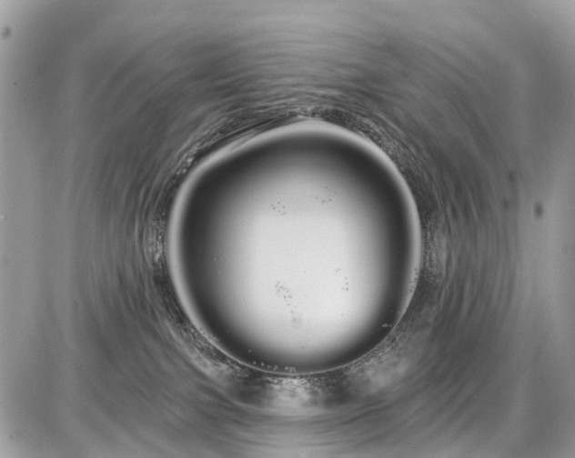 X0000086780091200704131225