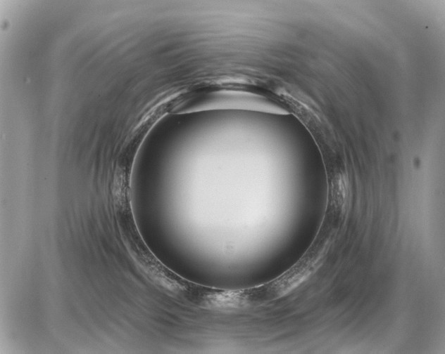 X0000086780092200704131225