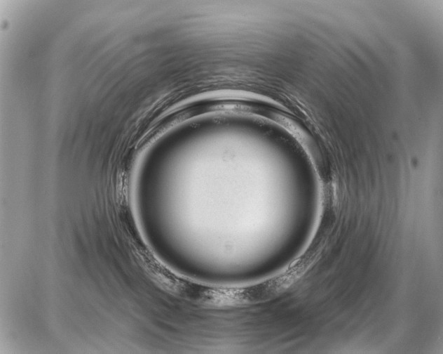 X0000086780093200704131225